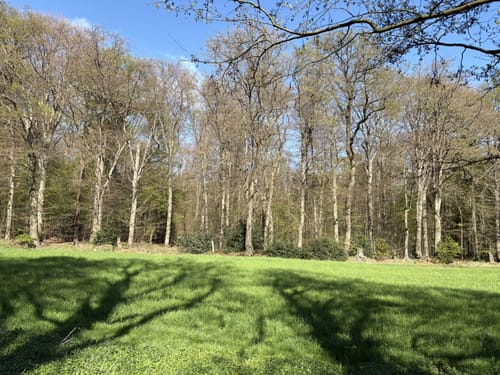 Leuchtenburg - Holthorst