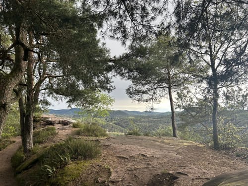 Geiersteine-Tour (Premiumwanderweg)