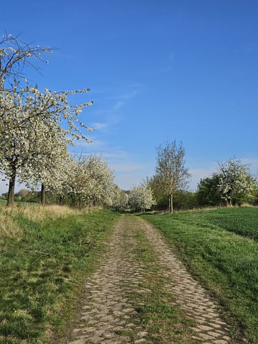 Seebener Berge