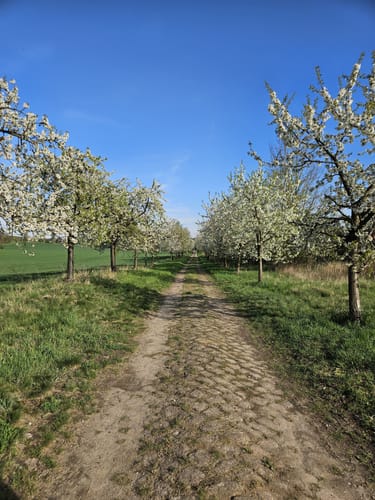 Seebener Berge