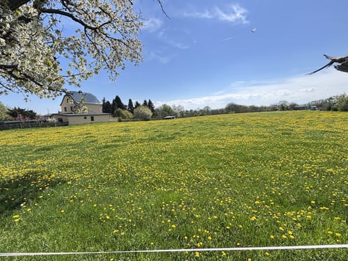 Radebeul: Wahnsdorf - Bennoschlösschen Rundwanderung