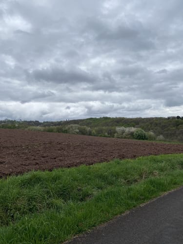 Yogaweg