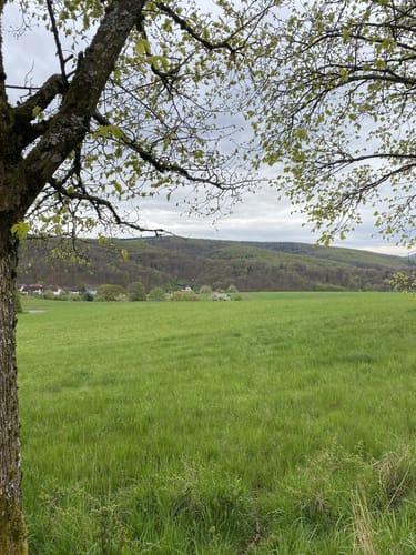 Yogaweg
