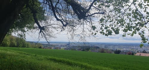 Panoramaweg Eselsberg in Ulm