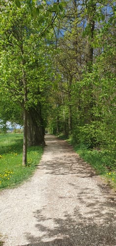 Panoramaweg Eselsberg in Ulm