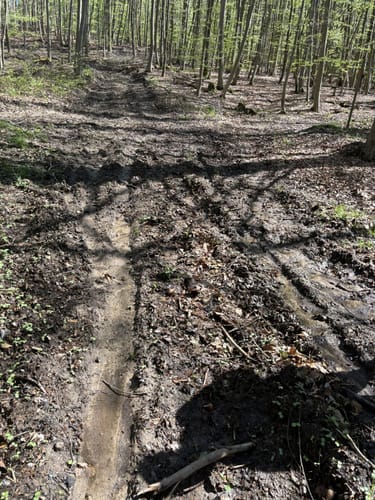 Eco Pfad Holzhausen: Osterbergrunde