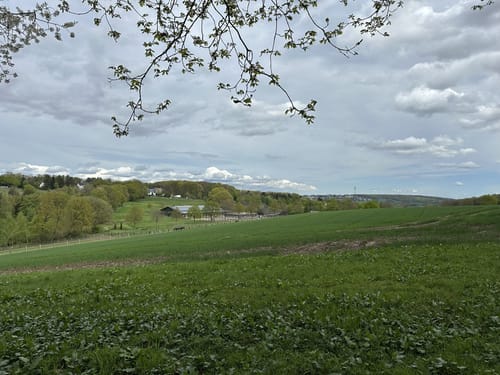 Hohensyburg - Kaiser-Wilhelm-Denkmal Runde