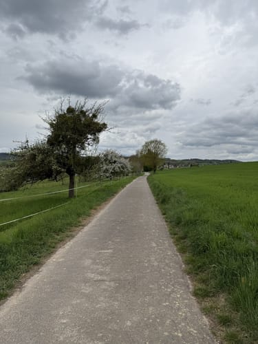 Rundwanderweg Brombachtal 1