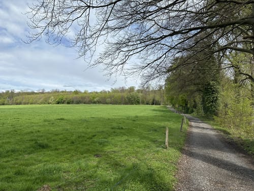 Oberer Dellenweg und Harkortberg Rundweg