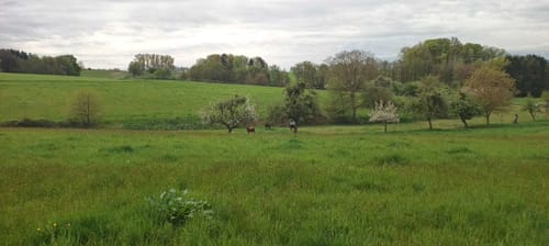Fahrenbach-Weg (Rundwanderweg Fürth 7)