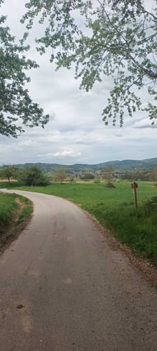 Fahrenbach-Weg (Rundwanderweg Fürth 7)