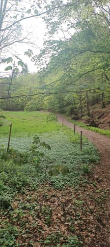 Fahrenbach-Weg (Rundwanderweg Fürth 7)