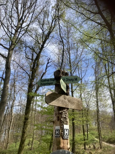 Bad Iburg und Lienenerberg Rundweg im Teutoburger Wald