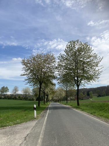 Bad Iburg und Lienenerberg Rundweg im Teutoburger Wald