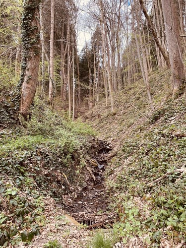 Schleiden Stadtspaziergang 