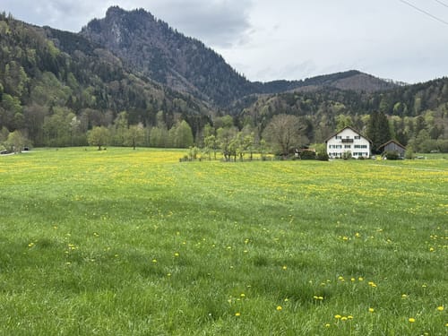 Rund um den Kochelsee