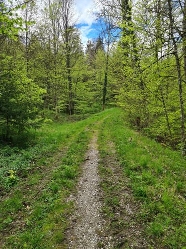 Schwarzwaldblick - Erdmanniloch - Chaisterchopf über Laufenburg
