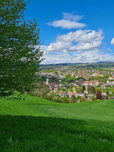 Schwarzwaldblick - Erdmanniloch - Chaisterchopf über Laufenburg