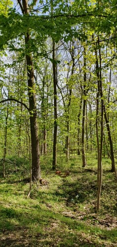 Heidesee-Runde