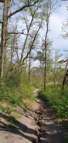 Heidesee-Runde