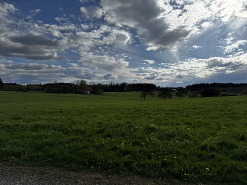 Woringen - Aussichtsturm am Königsrain