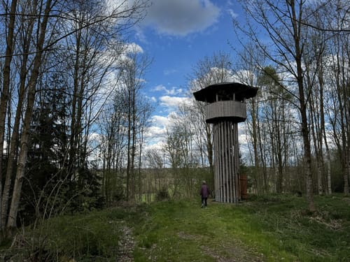 Woringen - Aussichtsturm am Königsrain