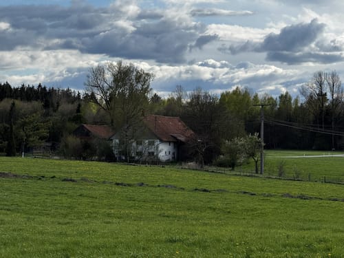 Woringen - Aussichtsturm am Königsrain
