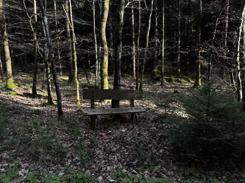 Woringen - Aussichtsturm am Königsrain