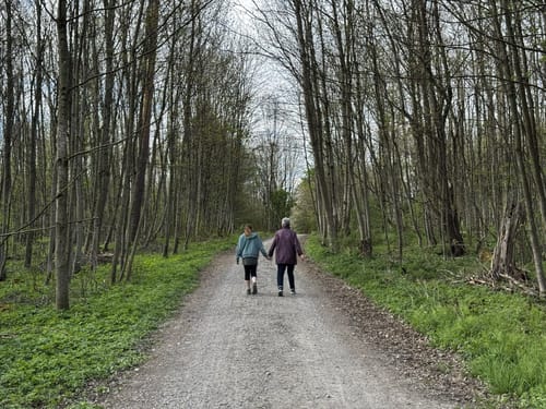 Woringen - Aussichtsturm am Königsrain
