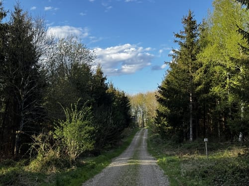Woringen - Aussichtsturm am Königsrain