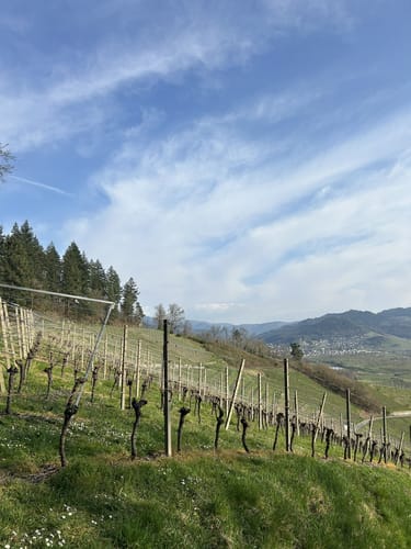 Oberachern zum Achtelblick