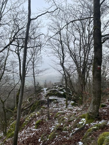 Geiganter Zwirenzelweg