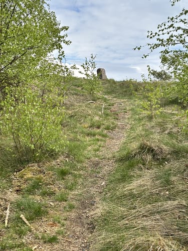 Wallau - Puderburg