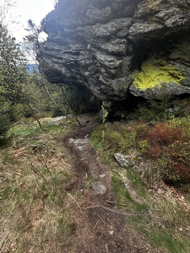 Großer Osser und Lohberger Steindl