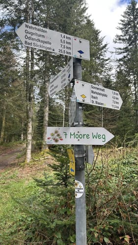Sieben-Moore-Weg im Hotzenwald