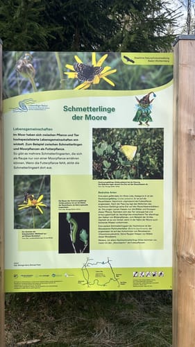 Sieben-Moore-Weg im Hotzenwald