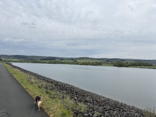 Aartalsee Rundweg