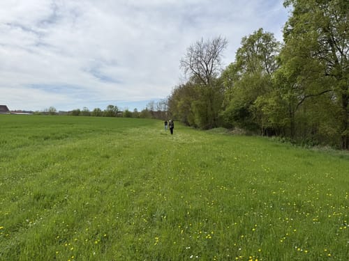 Rund um Burgstall und zum Keltenwall