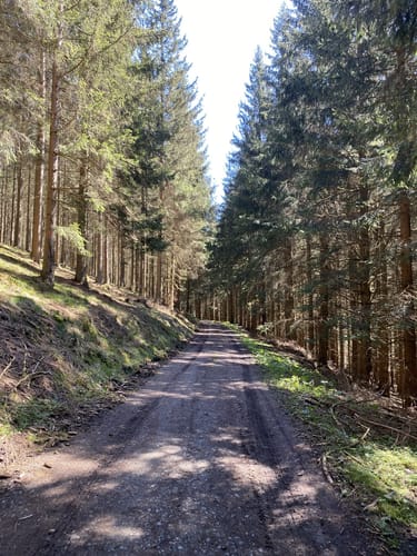 Gaudihütte - Hohe Lied