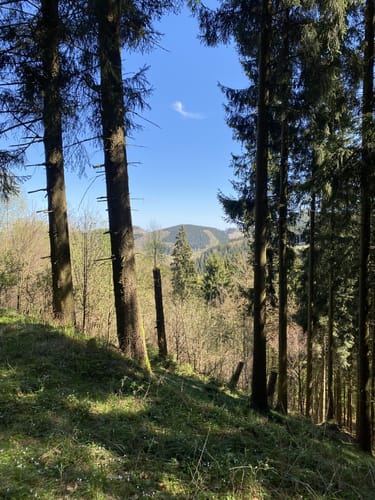 Gaudihütte - Hohe Lied