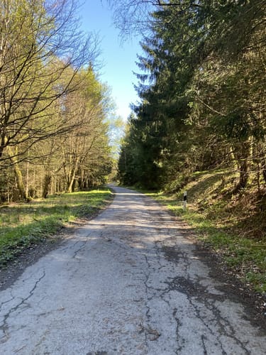 Gaudihütte - Hohe Lied