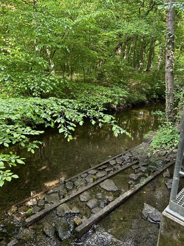 An der Bever