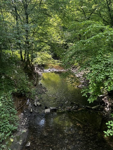 An der Bever