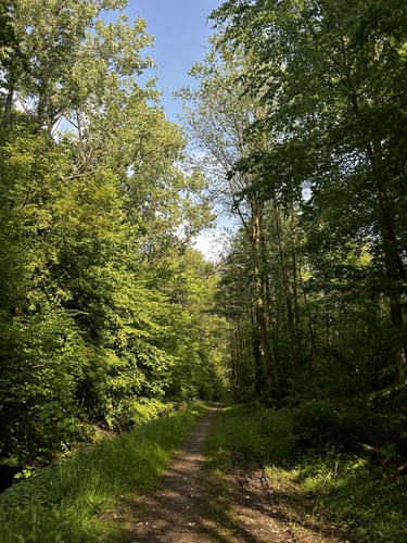 An der Bever