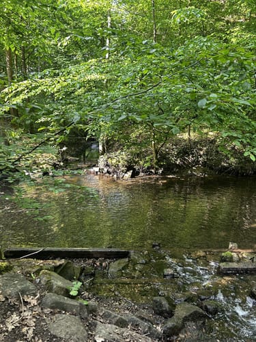 An der Bever