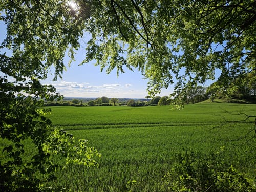 Rundweg im Blocksdorfer Holz