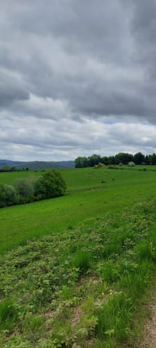 Auf den Spuren der Grünen Hölle