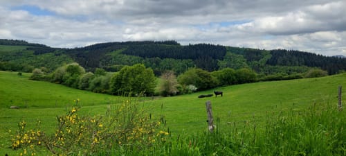 Auf den Spuren der Grünen Hölle