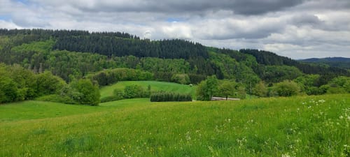 Auf den Spuren der Grünen Hölle