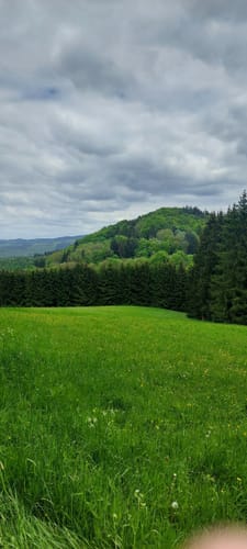 Auf den Spuren der Grünen Hölle